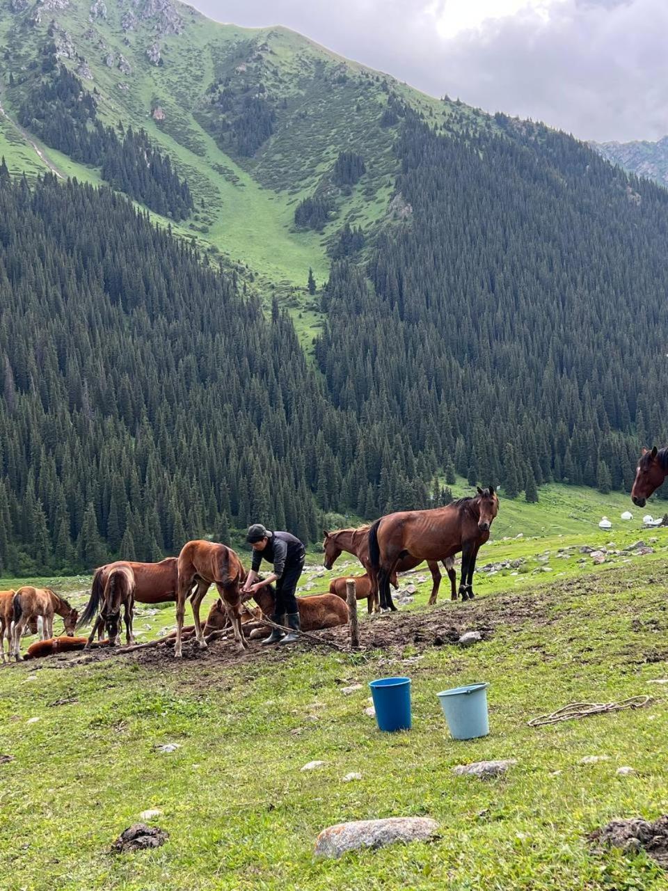 Ethno Yurt Camp Arashan Altyn-Arasan Luaran gambar